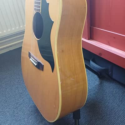 Mountain W-350 70s Very Rare! Japan Gibson Country Western style Amazing tiger strike back, Japan vintage case image 8