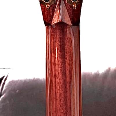 Blueridge BR 283 2004 - Brazillian Rosewood image 2