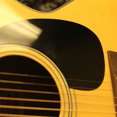 Takamine G-230 Series Acoustic Guitar, Spruce Top Ships Worldwide image 11