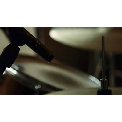 sE electronics SE8 - Condenser microphone image 10