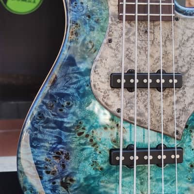 new】Kikuchi Guitars / Hermes MV5 NAT 3.940kg #323【GIB Yokohama