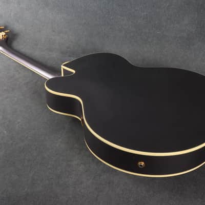 Gretsch G6196TSP-2G Country Club - 2-Tone Grey - 2nd Hand image 22