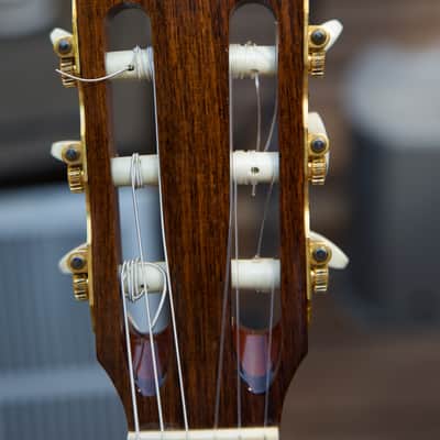 Taylor Jason Mraz Signature Model (JMSM) image 21