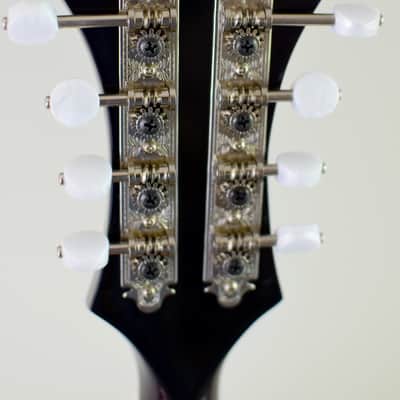 Kentucky KM805 Artist-F Vintage Amber Burst image 13
