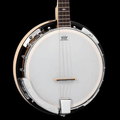 Tanglewood TWB 18 M4 4 String Banjo image 1