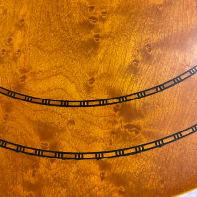 Eltzroth 001 1980 - Handmade Custom left handed Banjo image 8