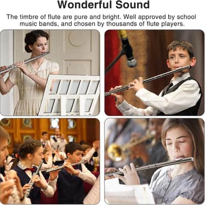 POGOLAB Closed Hole C 16 Keys Flute Instrument Kitchen Student Flute for Beginner Advanced Player image 8
