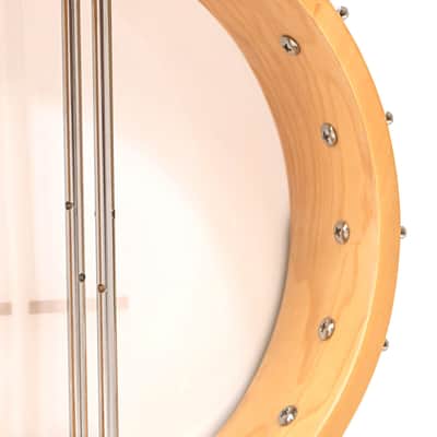 Gold Tone 5-String Bluegrass Open Back Banjo w/ Gig Bag image 8