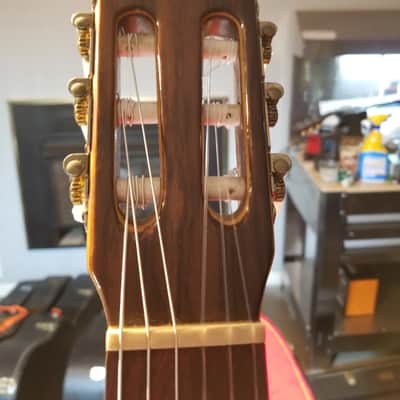 Giannini Classical guitar  1978 Made In BRAZIL Brazilian rosewood With Spruce Top image 2