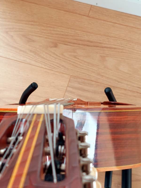 Suzuki MC-836 Mandocello / Mandoloncello | Reverb