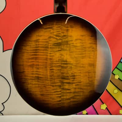 Epiphone Earl Scruggs Golden Deluxe Banjo (Incl. Hard Case) image 10