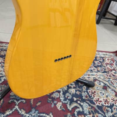Fender Standard Telecaster, Maple Fingerboard, Black Pickguard, Butterscotch Blonde image 10