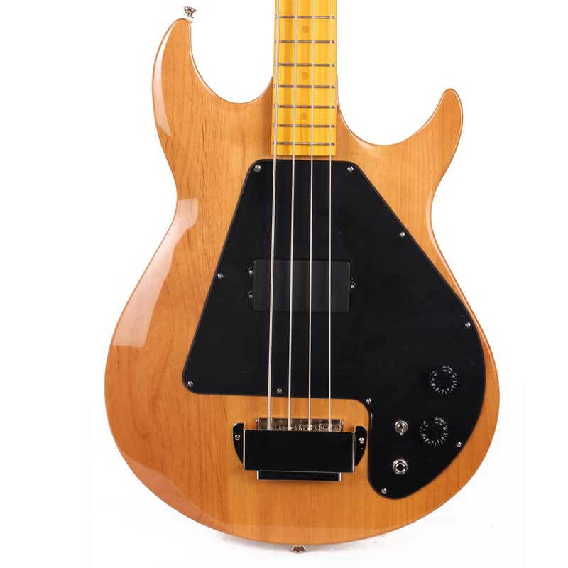 Epiphone Grabber Bass image 2