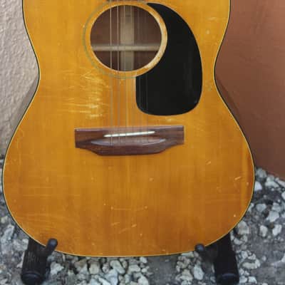 Gibson B20 1971 Natural image 1
