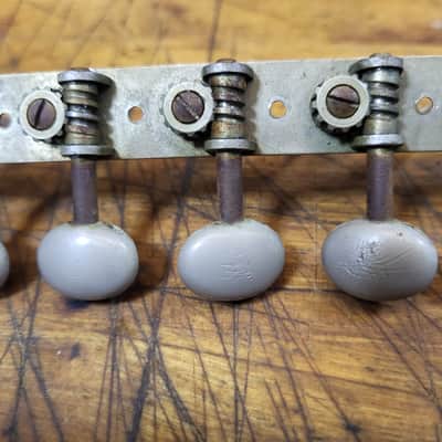 Vintage RARE 1965 Silver Plastic Buttons 6 in a line on a plate Guitar Tuners Luthier Parts image 3