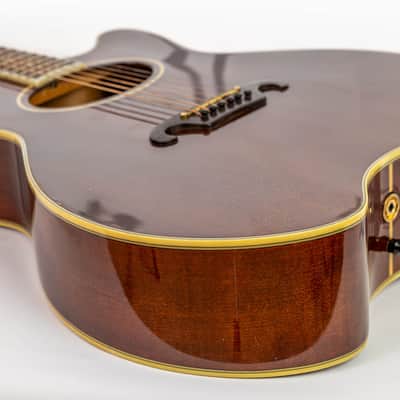 Daion The Year Series '81 Caribou - Brown (BR) - Electric Acoustic Six String image 14