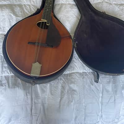 Mandocello image 2