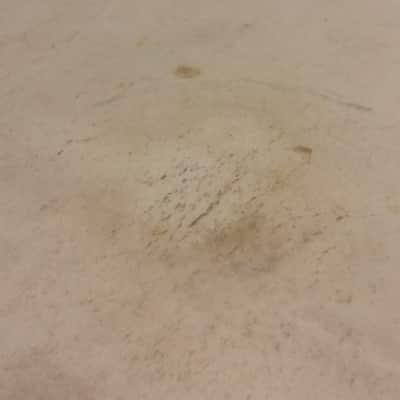 WFL Leedy Ludwig VINTAGE USA Gretsch 20" Calf Skin Bass Drum Head 40s 50s NICE SHAPE NO TARIFFS image 18