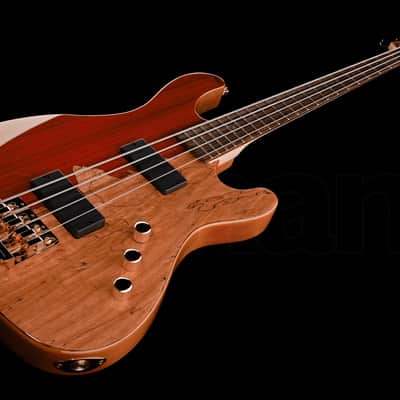Cort RITHIMICNAT Jeff Berlin Signature Series Alder Body Rithimic 4-String Electric Bass Guitar image 1