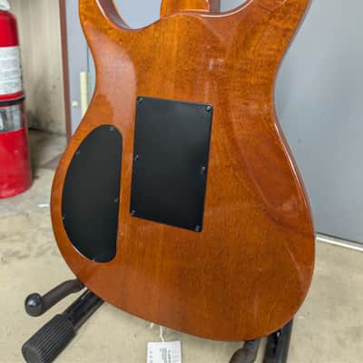 Carvin CT-4 burst image 12