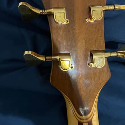 Alembic EVH-4 Signature Deluxe Walnut 1990 image 4
