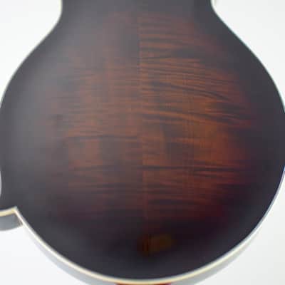 Kentucky KM805 Artist-F Vintage Amber Burst image 10