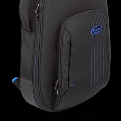 REUNION BLUES EXPEDITION 335 SEMI HOLLOW PREMIUM GUITAR CASE image 1