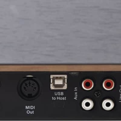 Immagine ARTESIA DP-3+ V Rosewood Digital Piano - 3