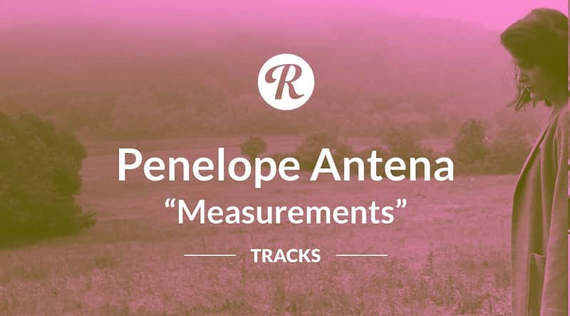 Penelope Antena | Measurements - Reverb Exclusive image 1