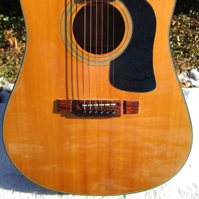 Washburn D-12 CE/N Dreadnought Guitar, 1990, Korea, Cutaway Electric image 3
