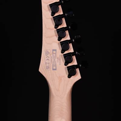 Ibanez RG421DX Electric Guitar, Twilight Shade image 9