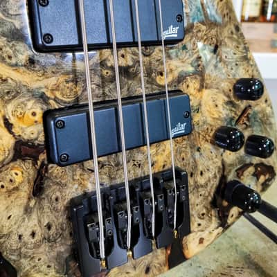 Roscoe Century Custom Buckeye Burl Top 4-String Bass image 3