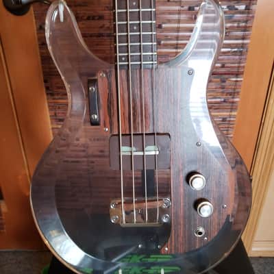 Vintage 70's Dan Armstrong Ampeg Clear Acrylic Bass -ADA6 image 3