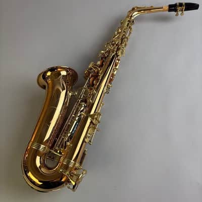 Yanagisawa A-WO2 image 5