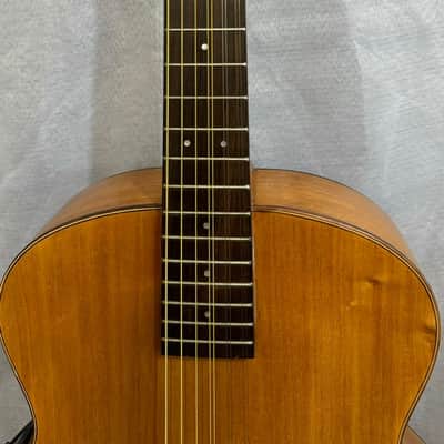 Blueberry Handmade Nine String Archtop Guitar Built to Order image 9