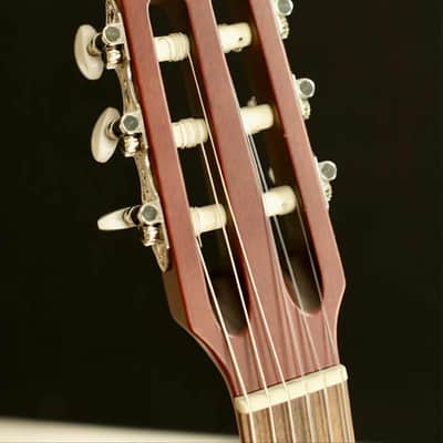 Godin Multiac Nylon Encore Natural SG w/Bag image 6