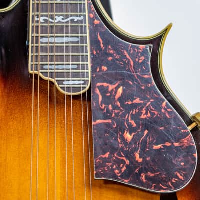 Daion F-style Mandolin - Tobacco Sunburst image 5