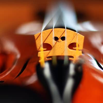 Haddon Brown Violin 4/4 - Sleeping Beauty Stradivari Model image 8