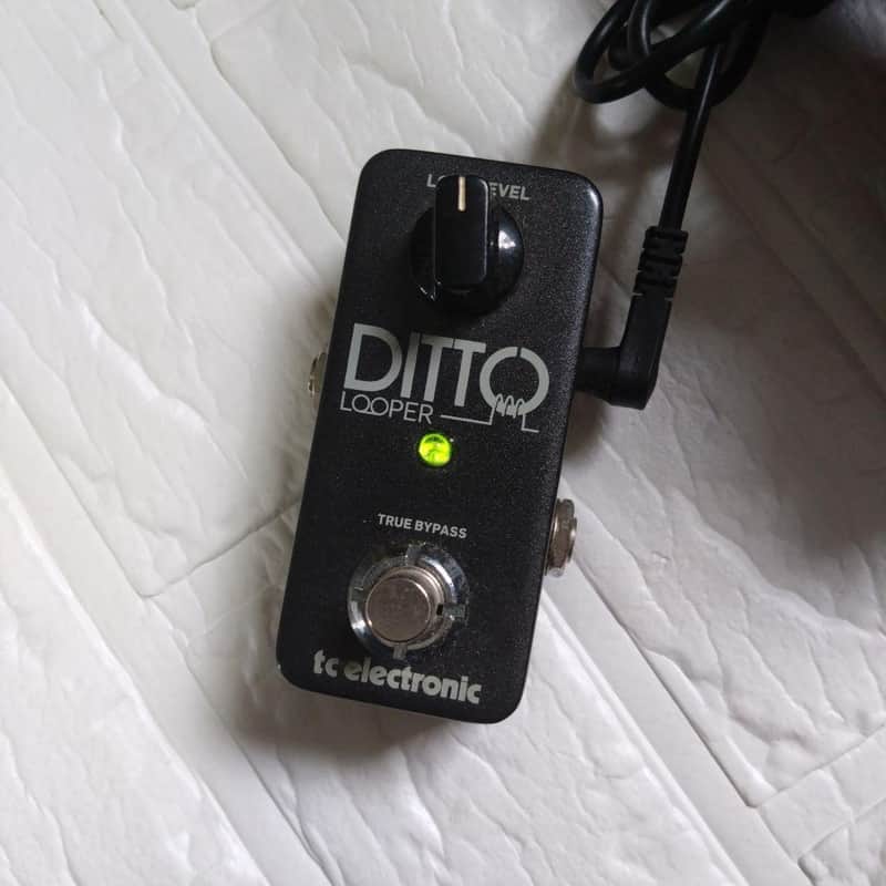 TC Electronic DITTO LOOPER