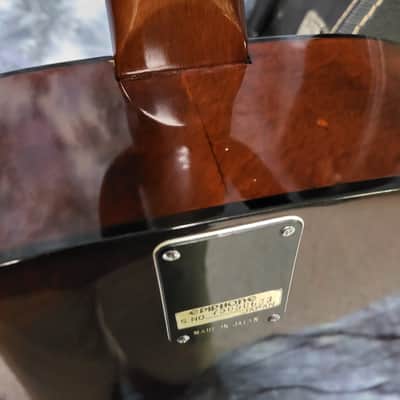 Vintage 1975 Epiphone FT-120 Japan Norlin Pro Setup New Strings Soft Shell Case image 11