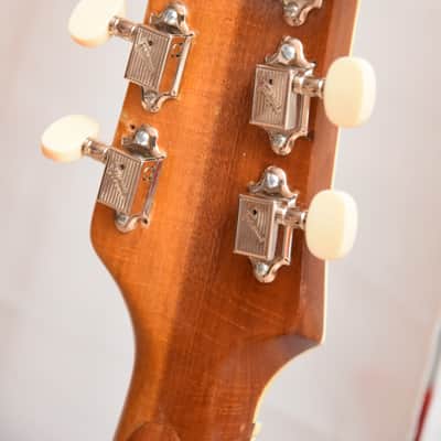 Framus Billy Lorento 5/120 1960 - Black Rose image 15