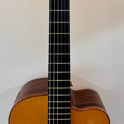 Buscarino Cabaret Custom Nylon String Classical Used (2014) image 5
