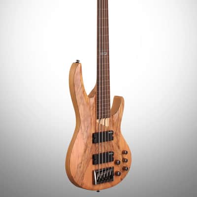 ESP LTD B205 Fretless Electric Bass (5-String) image 5