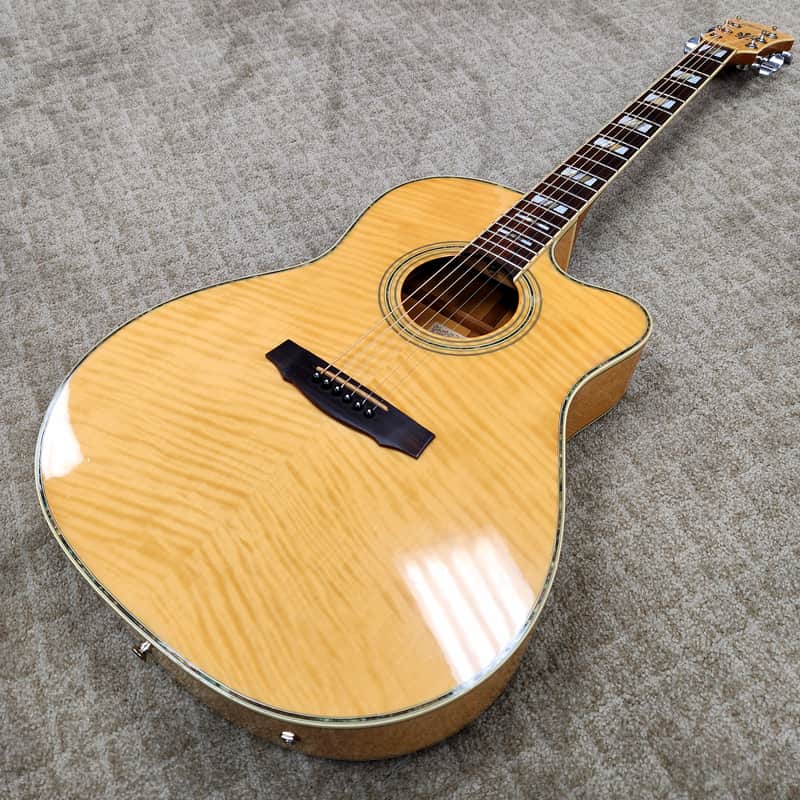 Mid 1990s Ibanez N800NT Slope-Shoulder Cutaway - Potential Prototype Unit w/ Hard Shell Case image 1
