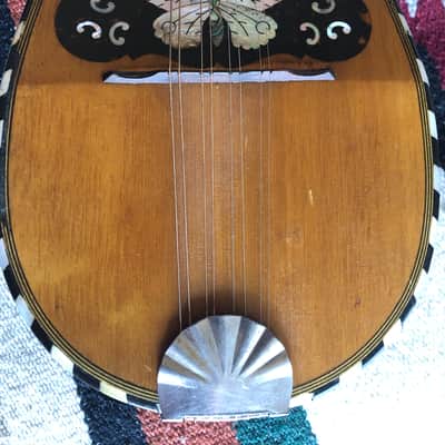 Fancy Bowlback Mandolin, Early 20th Century, Excellent Condition image 20