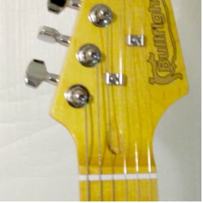 Bullfighter D133 - TL Series Electric Guitar - Lotus/Dark Green Color with Flower Graphic image 2