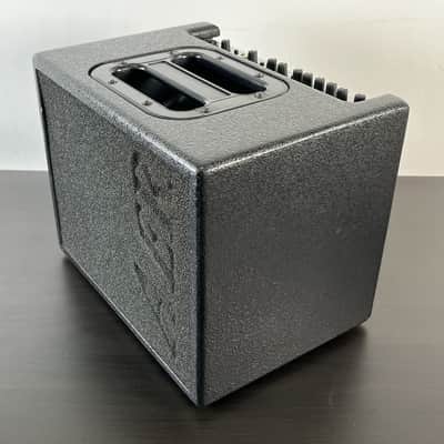 AER Acoustic Line Compact Classic Pro 60W Single Channel image 3