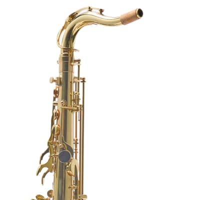 Antigua Winds Model TS3108LQ Intermediate Tenor Saxophone SN UTS040021 image 14