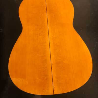 Guitarra Manuel de la Chica Edición Especial 1967 image 16