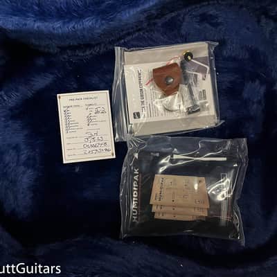 Epiphone USA Frontier Frontier Burst (086-S) image 8